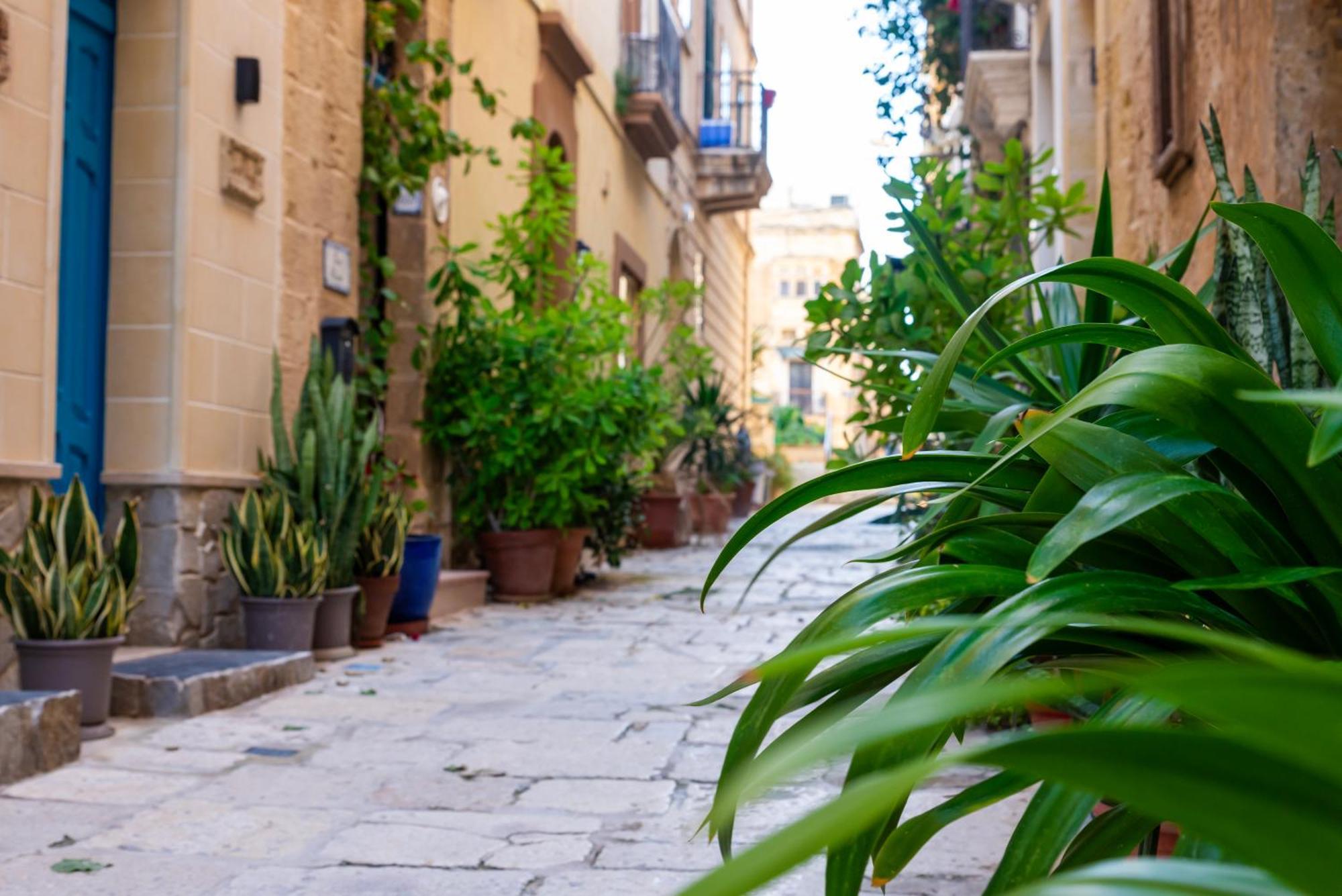Great Siege Apartment Senglea Exterior foto